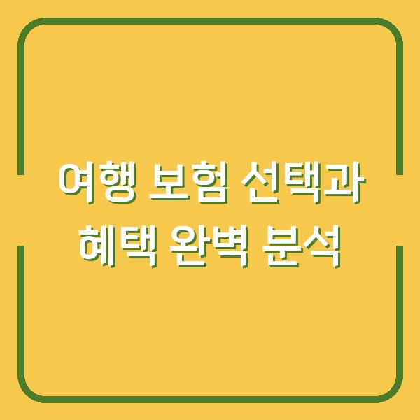 여행 보험 선택과 혜택 완벽 분석