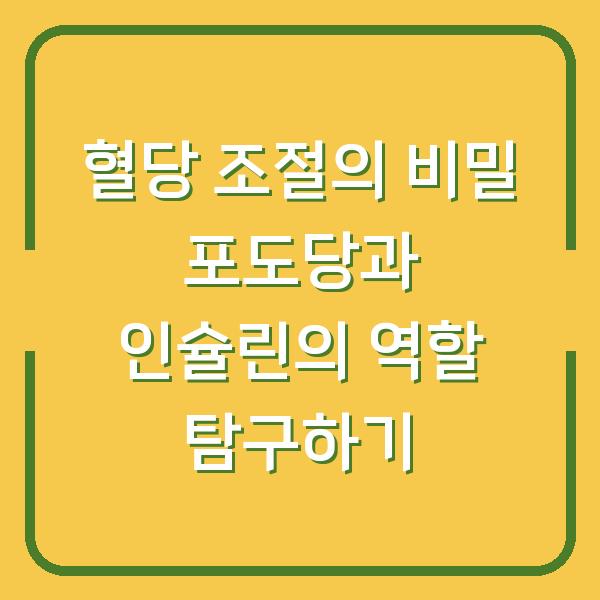 혈당 조절의 비밀 포도당과 인슐린의 역할 탐구하기