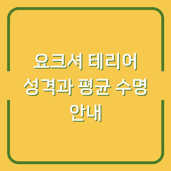 요크셔 테리어 성격과 평균 수명 안내
