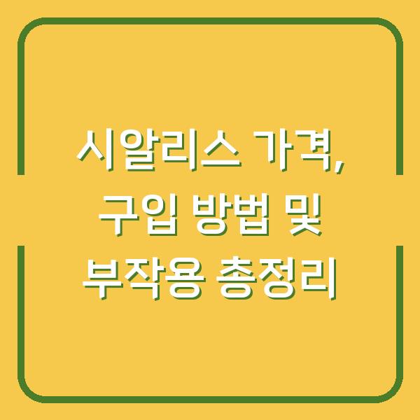 시알리스 가격, 구입 방법 및 부작용 총정리
