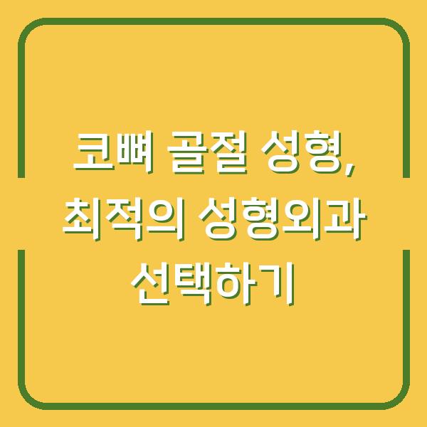 코뼈 골절 성형, 최적의 성형외과 선택하기