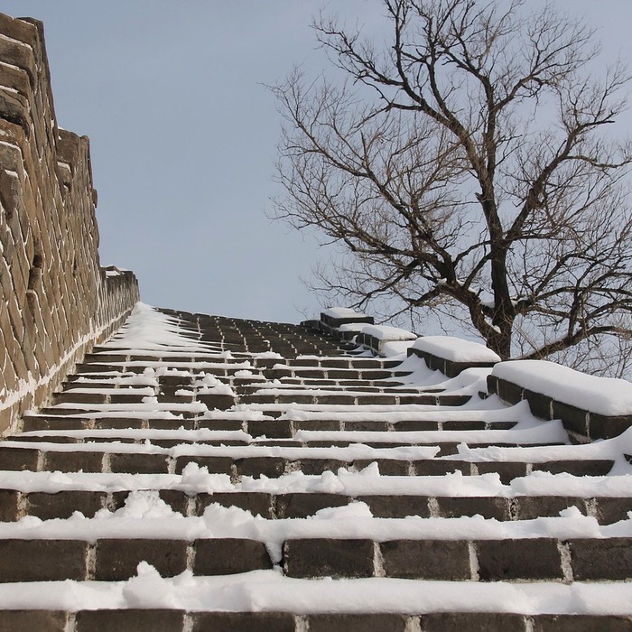 사용자 경험