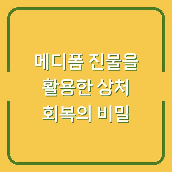 메디폼 진물을 활용한 상처 회복의 비밀