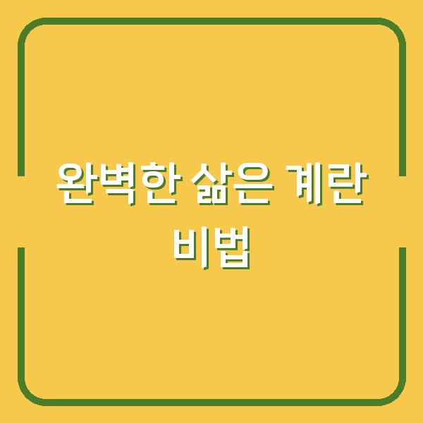 완벽한 삶은 계란 비법