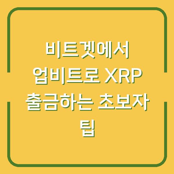 비트겟에서 업비트로 XRP 출금하는 초보자 팁