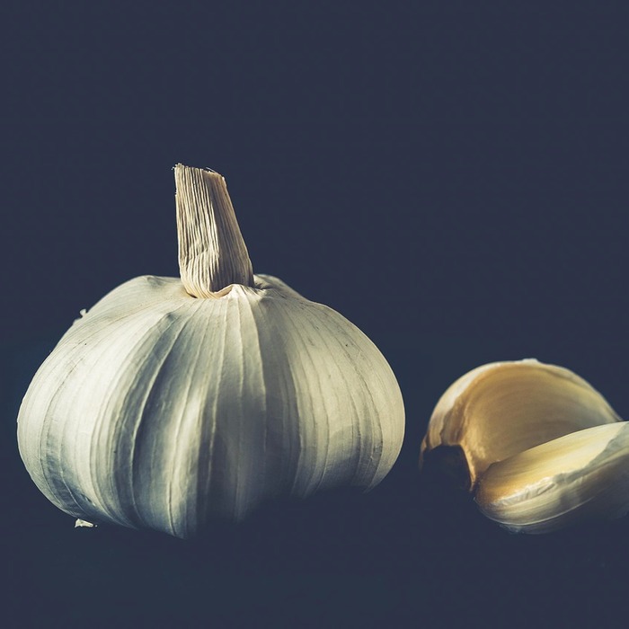 신선한 재료