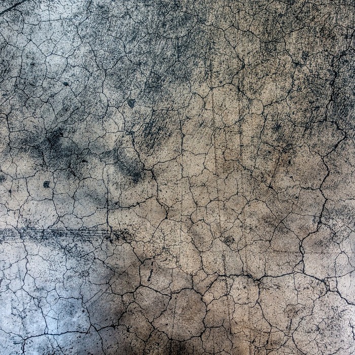 골절 정의