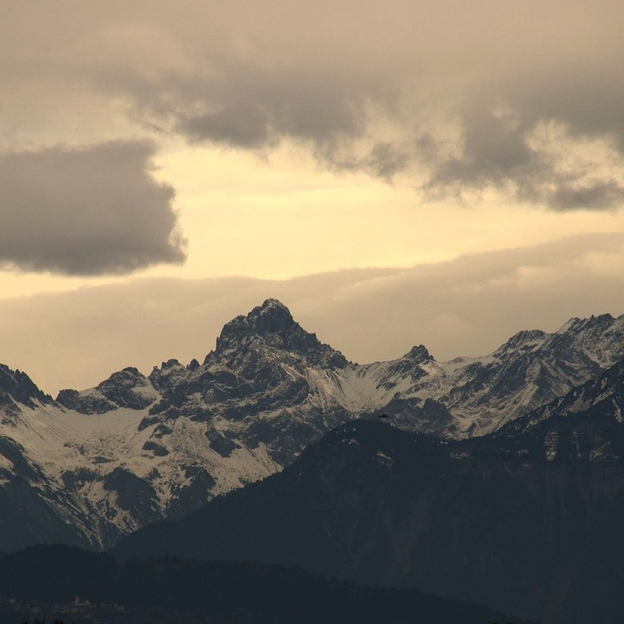 밸런스 게임 매력