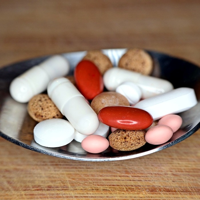 항생제 치료 과정