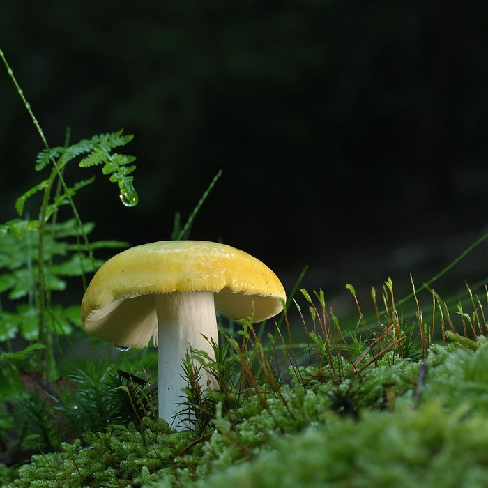 목 허리 디스크