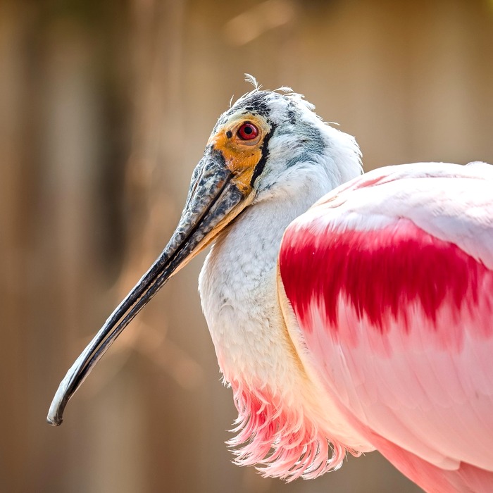 청구서 작성 방법