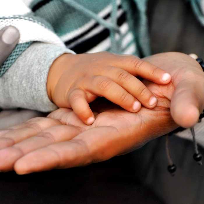 암 보험 필요성