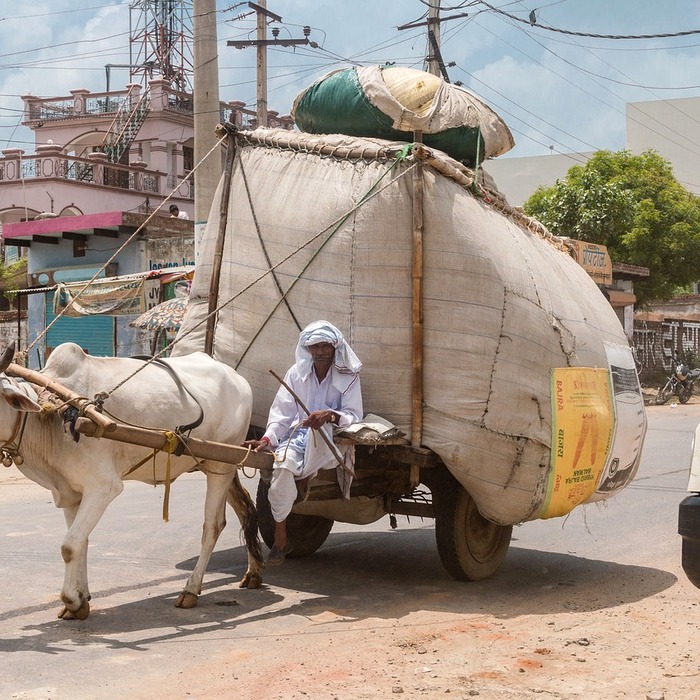 보험 상품 구성