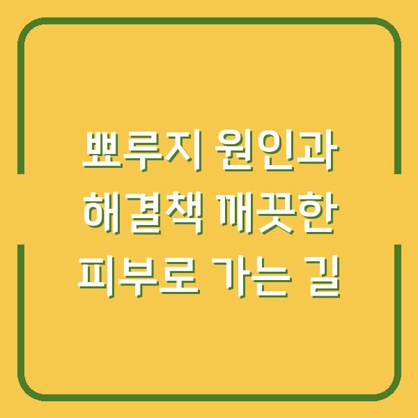 뾰루지 원인과 해결책 깨끗한 피부로 가는 길