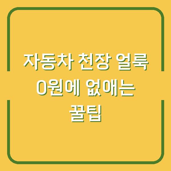 자동차 천장 얼룩 0원에 없애는 꿀팁