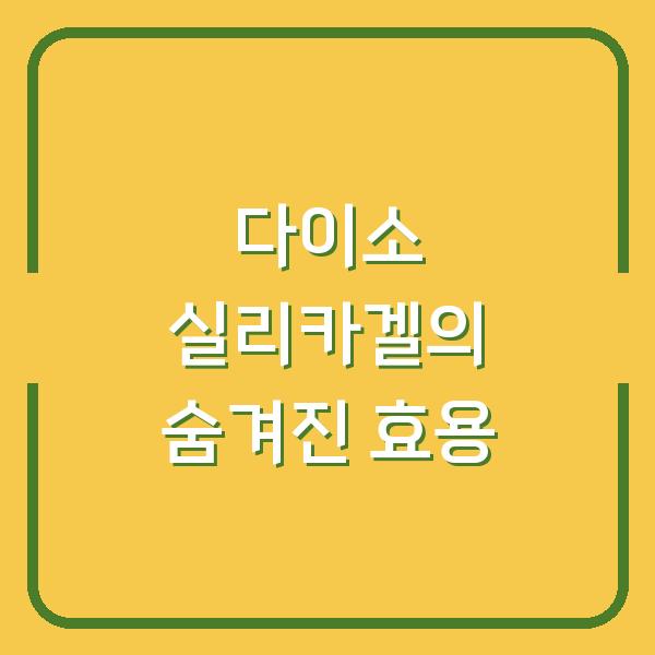 다이소 실리카겔의 숨겨진 효용