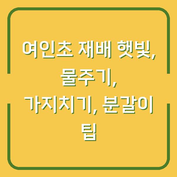 여인초 재배 햇빛, 물주기, 가지치기, 분갈이 팁