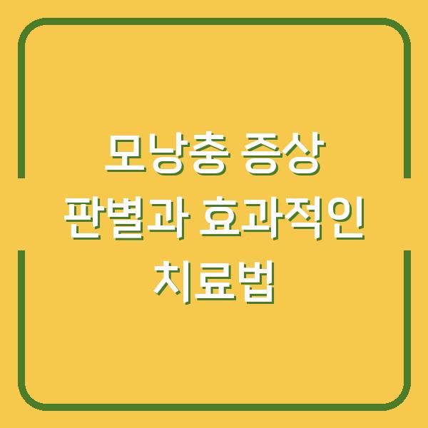 모낭충 증상 판별과 효과적인 치료법