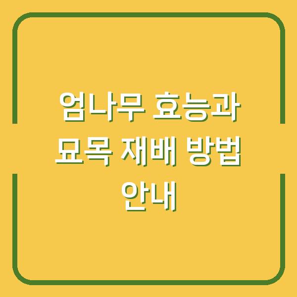 엄나무 효능과 묘목 재배 방법 안내