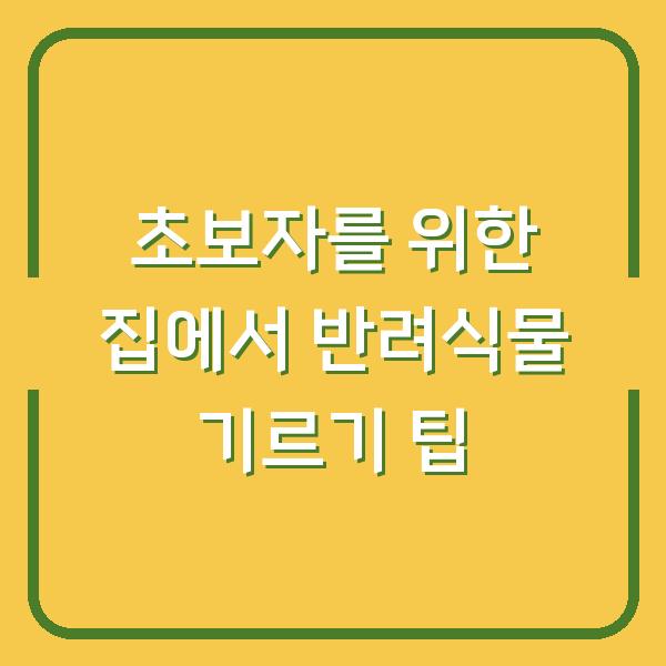 초보자를 위한 집에서 반려식물 기르기 팁