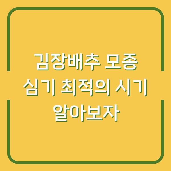 김장배추 모종 심기 최적의 시기 알아보자
