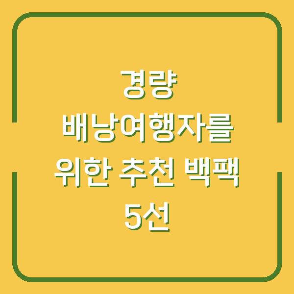 경량 배낭여행자를 위한 추천 백팩 5선