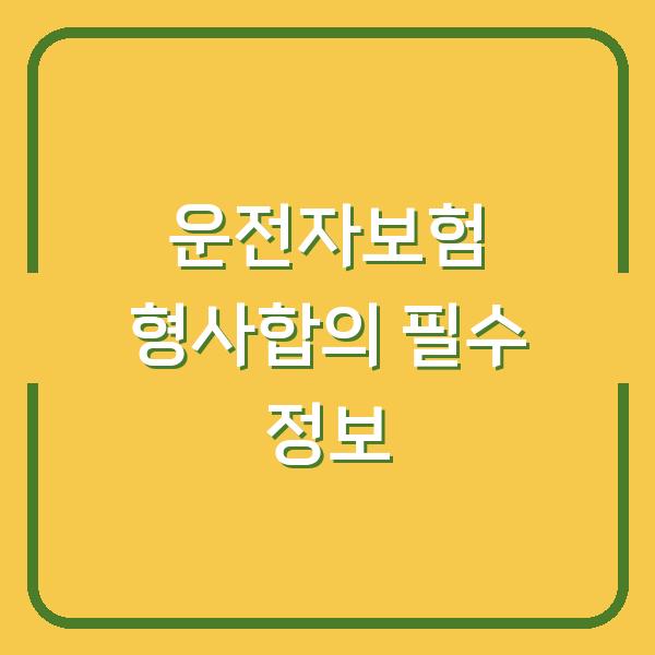 운전자보험 형사합의 필수 정보