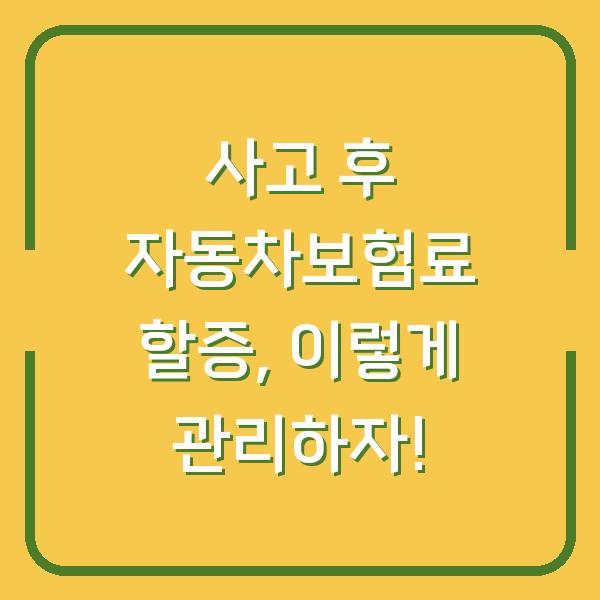 사고 후 자동차보험료 할증, 이렇게 관리하자!