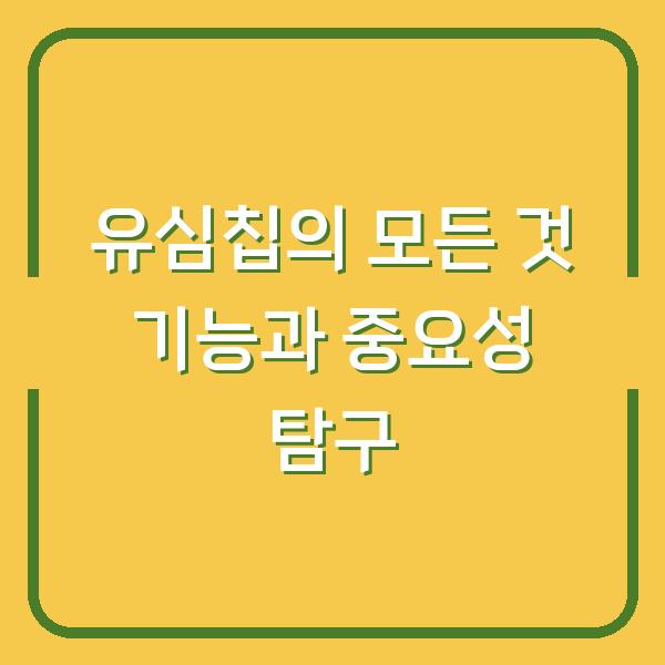 유심칩의 모든 것 기능과 중요성 탐구