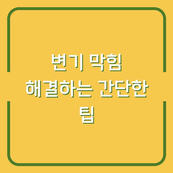 변기 막힘 해결하는 간단한 팁