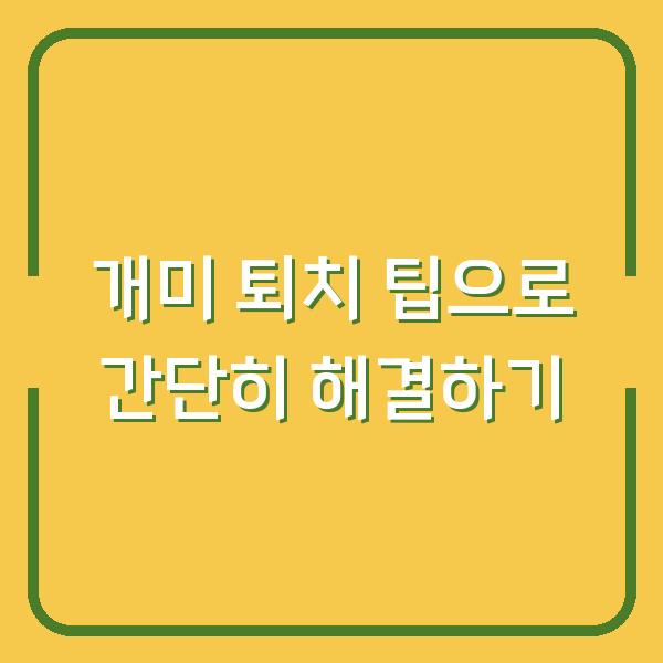 개미 퇴치 팁으로 간단히 해결하기
