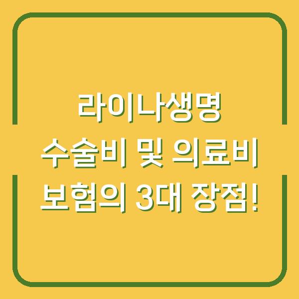 라이나생명 수술비 및 의료비 보험의 3대 장점!