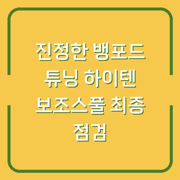 진정한 뱅포드 튜닝 하이텐 보조스풀 최종 점검