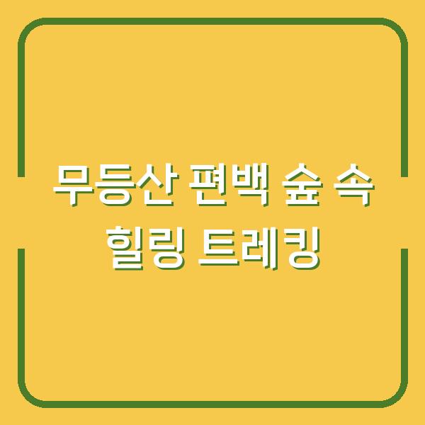 무등산 편백 숲 속 힐링 트레킹