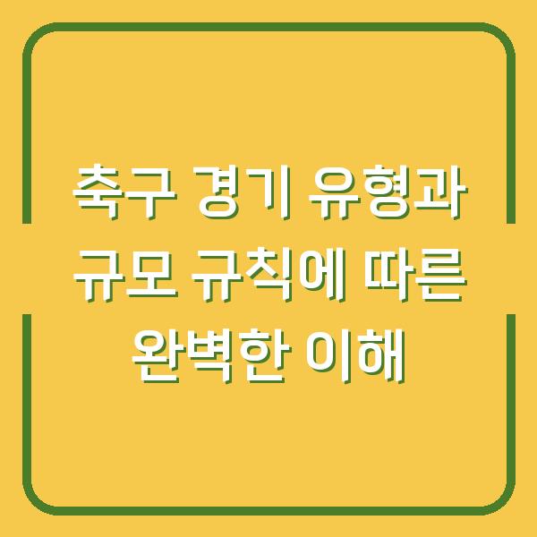 축구 경기 유형과 규모 규칙에 따른 완벽한 이해