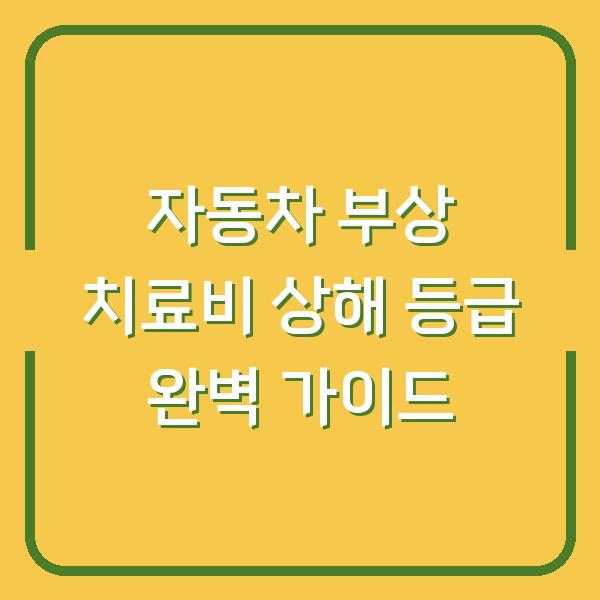 자동차 부상 치료비 상해 등급 완벽 가이드