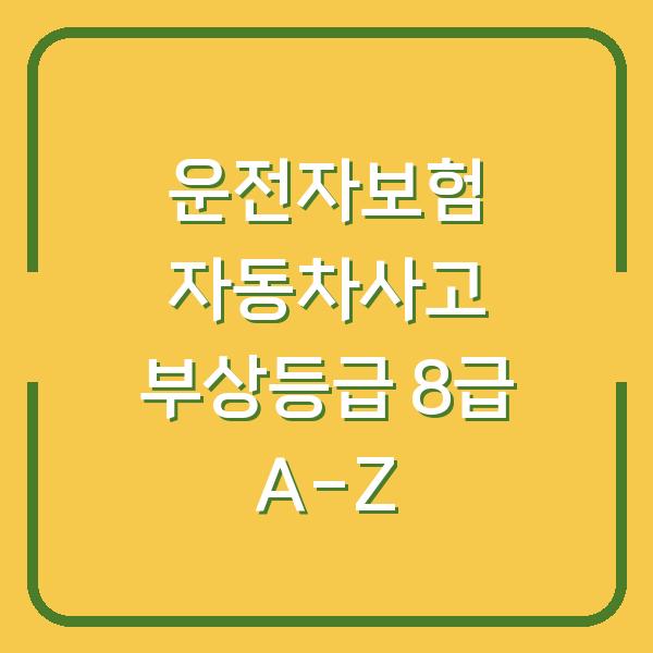 운전자보험 자동차사고 부상등급 8급 A-Z