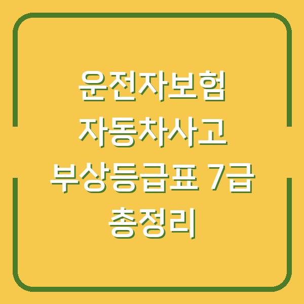 운전자보험 자동차사고 부상등급표 7급 총정리