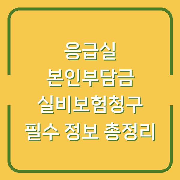 응급실 본인부담금 실비보험청구 필수 정보 총정리