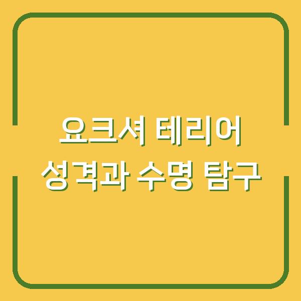 요크셔 테리어 성격과 수명 탐구