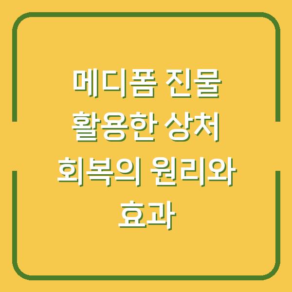 메디폼 진물 활용한 상처 회복의 원리와 효과