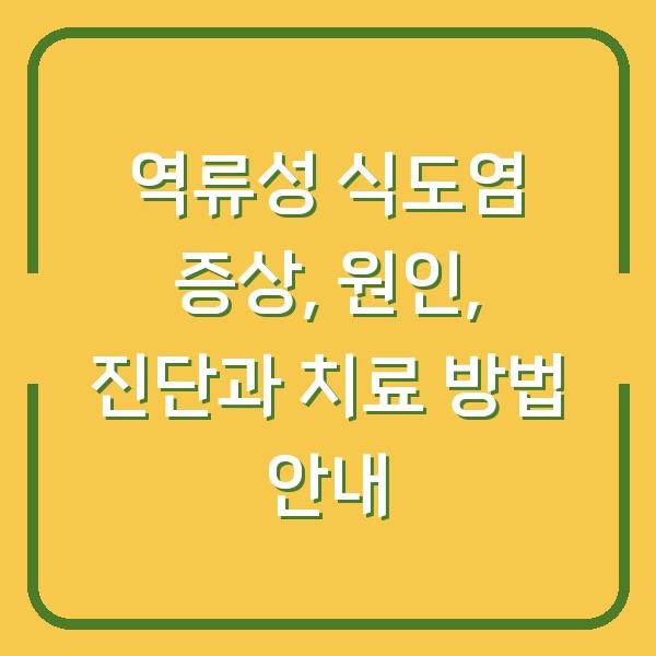 역류성 식도염 증상, 원인, 진단과 치료 방법 안내