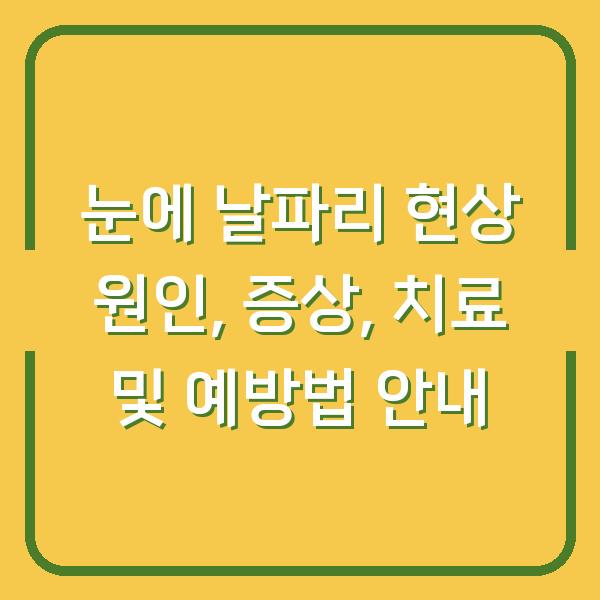 눈에 날파리 현상 원인, 증상, 치료 및 예방법 안내