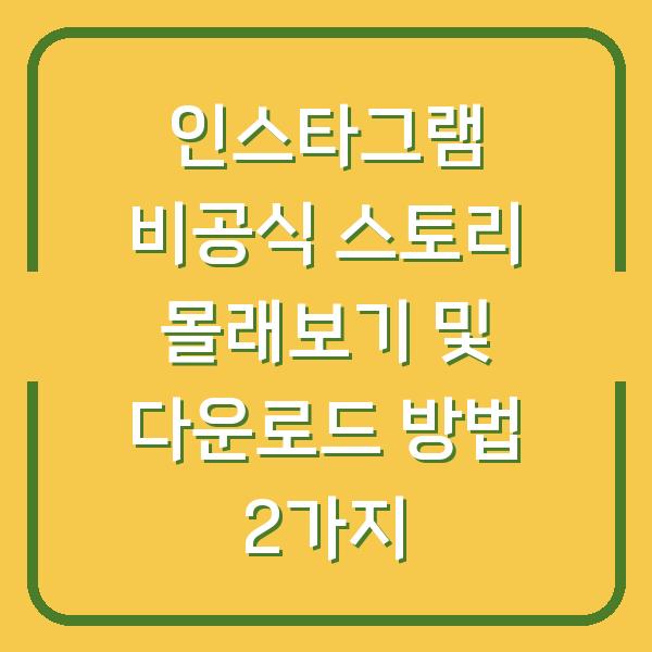 인스타그램 비공식 스토리 몰래보기 및 다운로드 방법 2가지