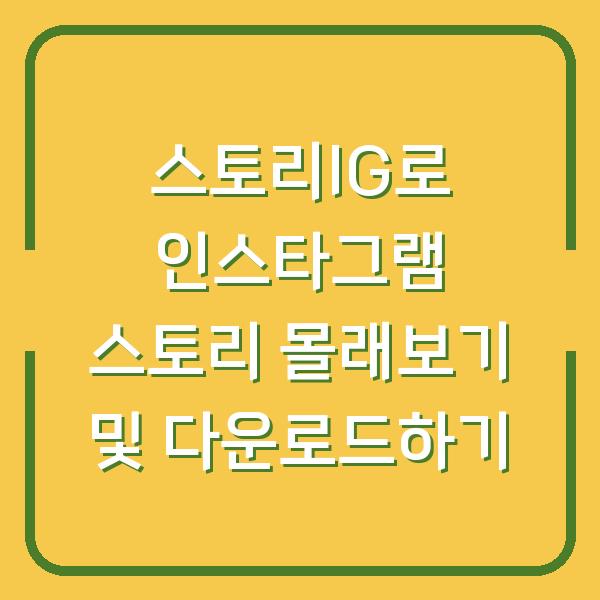 스토리IG로 인스타그램 스토리 몰래보기 및 다운로드하기