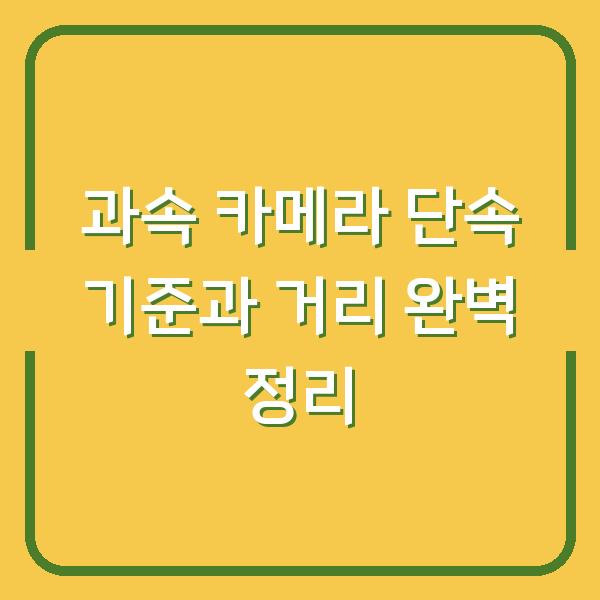 과속 카메라 단속 기준과 거리 완벽 정리