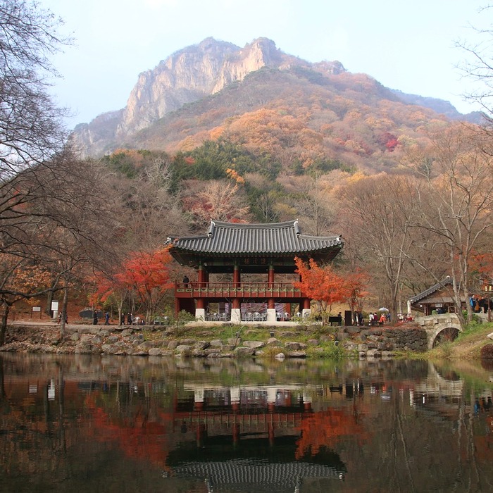 내장산 백양사