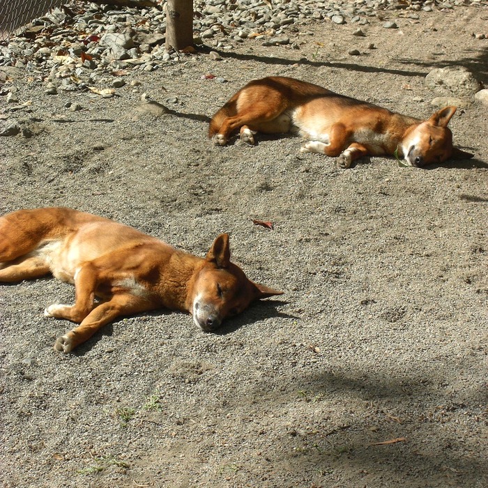 가인 야영장 카라반