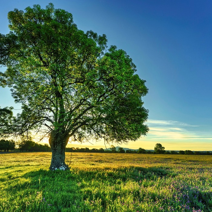 삼성전자 재무상태표