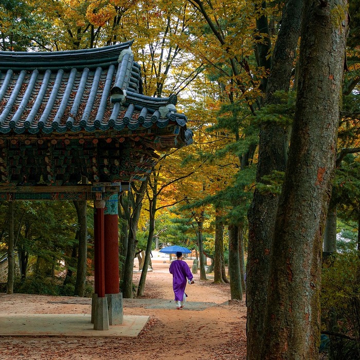 제주민속촌박물관